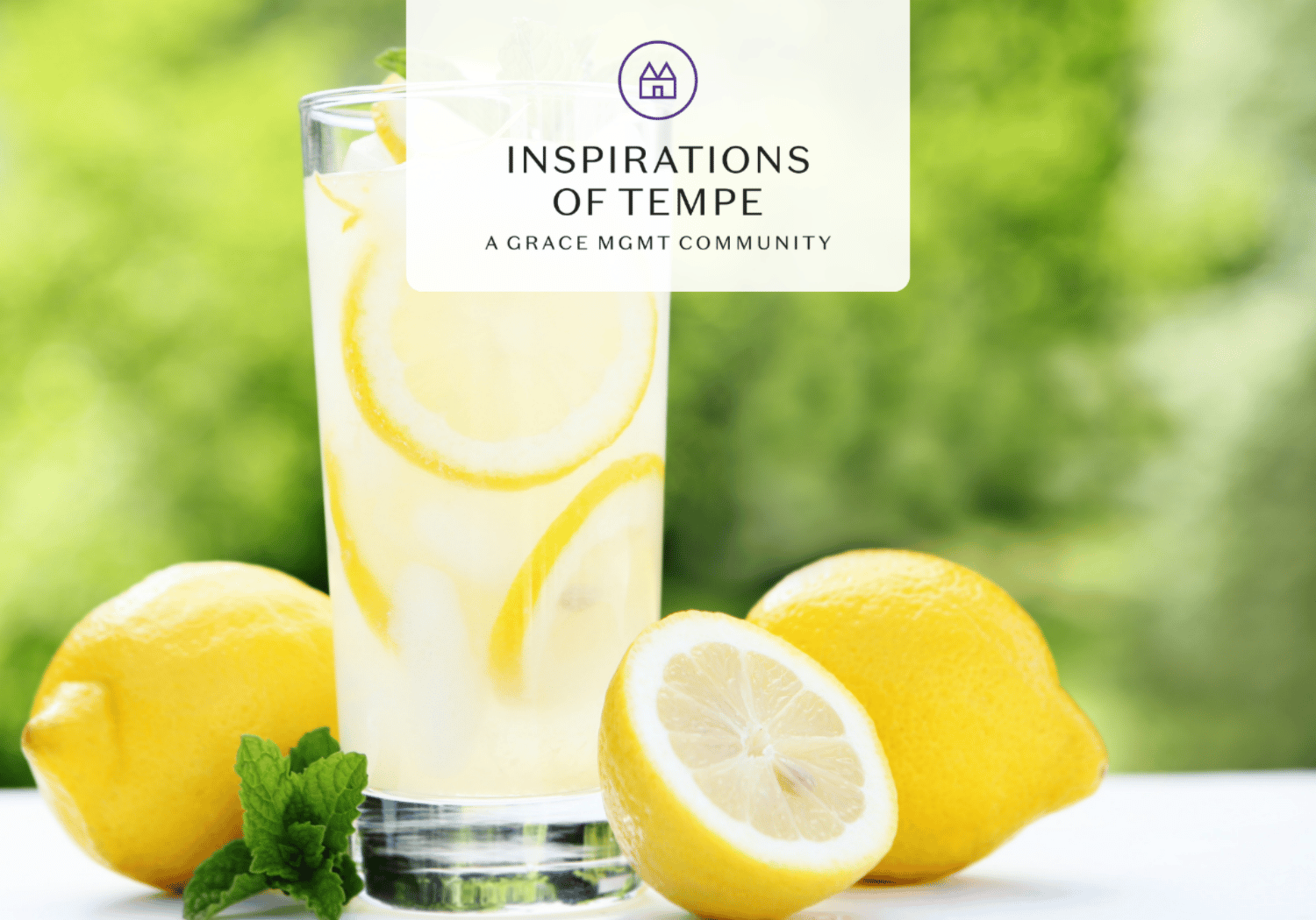 Hero banner showing a glass of lemonade with lemon slices and mint, overlaid with the 'Inspirations of Tempe' logo and text.